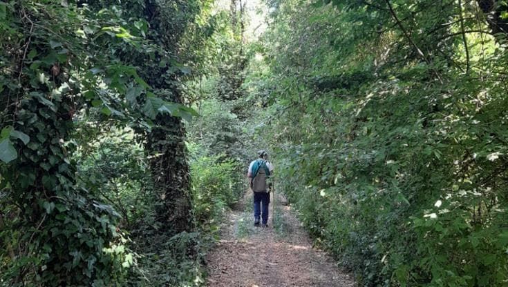 Piano B, Giuseppe: “Per 23 anni operaio in un salumificio. Poi nel bosco ho trovato la mia fortuna”