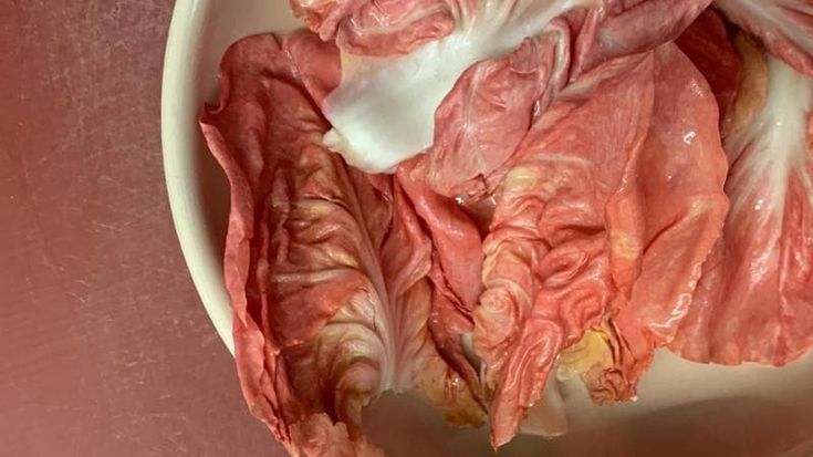 Tommaso Melilli: le belle rose di Munari che le mamme ignorano