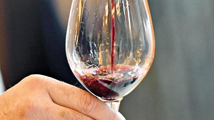 Dall’Irpinia al Cilento i migliori bianchi, rossi e bollicine da abbinare al pranzo