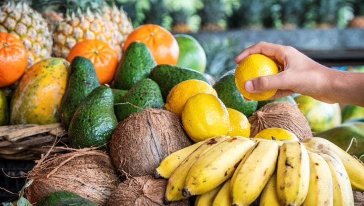 Tropici d’Italia, tra mango, papaya e avocado