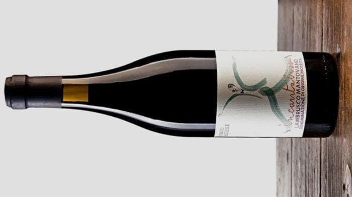Che Lambrusco questo “Incantabiss”