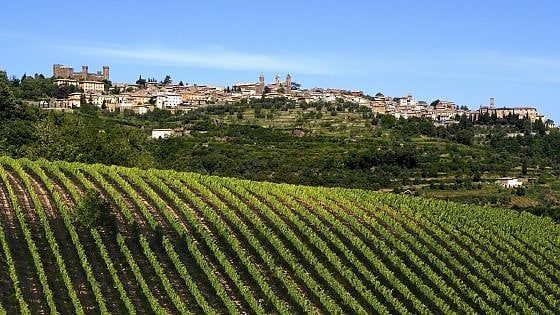 Brunello di Montalcino, primo trimestre da record grazie all'annata 2016
