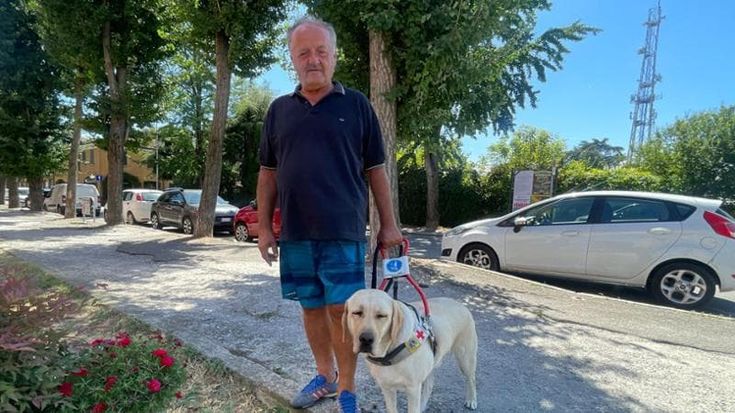 Non vedente con il cane-guida allontanato dal supermercato: “L’animale non può entrare”