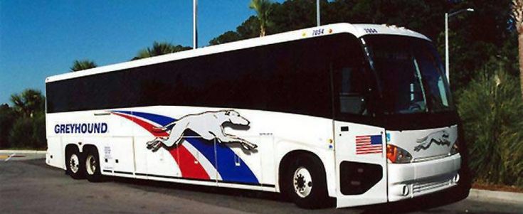 Cent'anni di Greyhound, il levriero simbolo dell'America "on the road"
