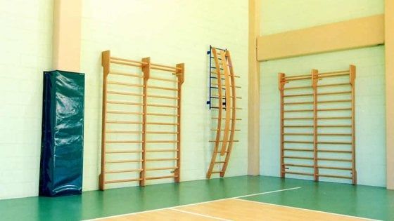 Foggia, prof di educazione fisica bacia sulla guancia alunna delle medie: condannato per violenza sessuale