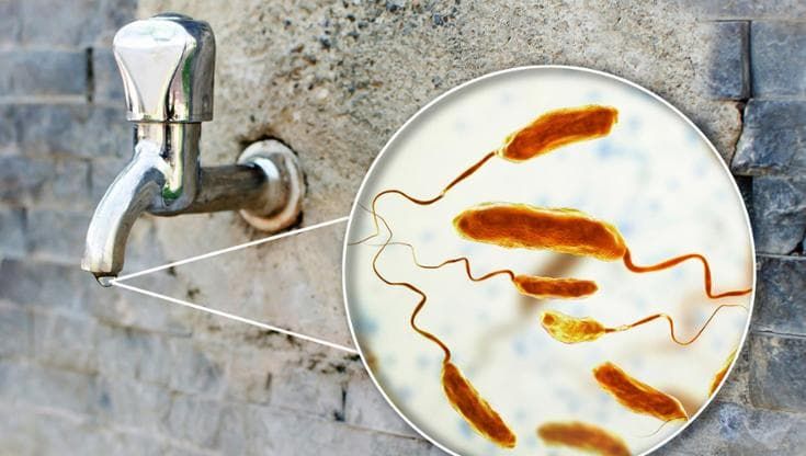 Legionellosi, che cos’è, come ci si contagia e le cure