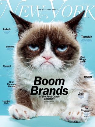 Da Grumpy Cat a Sunny: gli animali pi&ugrave; influenti del 2013