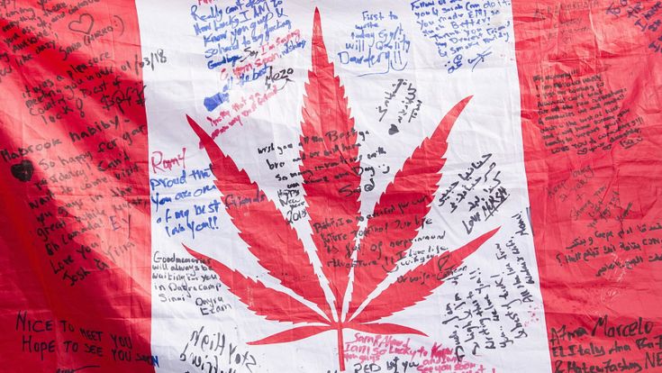 Canada, marijuana legale: è l’oro verde di Trudeau
