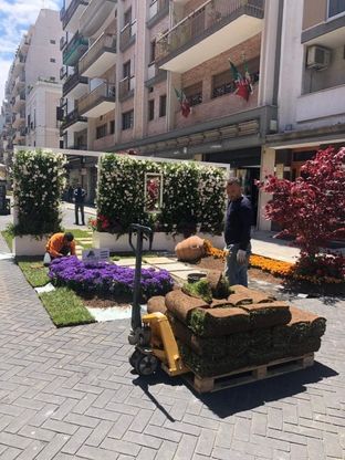 Bari, in via Argiro fiorisce la 'Primavera Mediterranea"