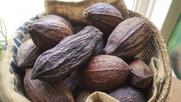 Parte da Modica la prima filiera europea di cioccolato Igp