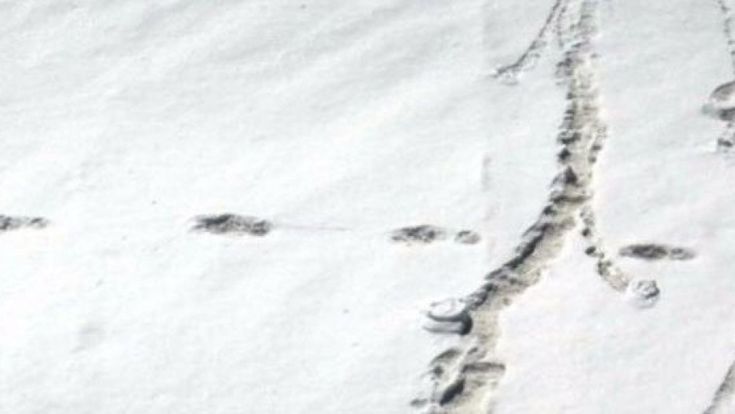 La leggenda immortale dello Yeti. L'esercito indiano: "Ecco le sue orme"