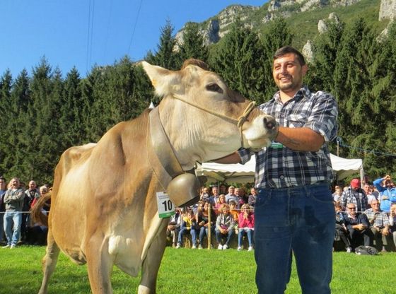 Bergamo, tutto merito di Mirka: bis per il campione del mondo di mungitura 