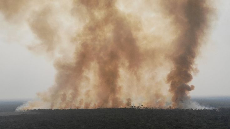 L’Amazzonia riprende a bruciare: “Toccato il picco degli ultimi dieci anni”
