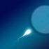 Allo spermatozoo non piace il caldo