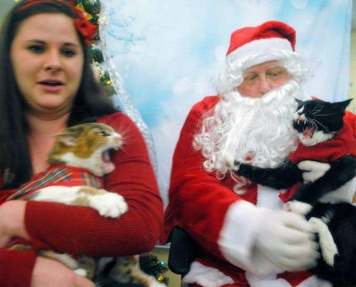  "Funny Christmas": il Natale ironico nelle foto più strane (e brutte) del web 