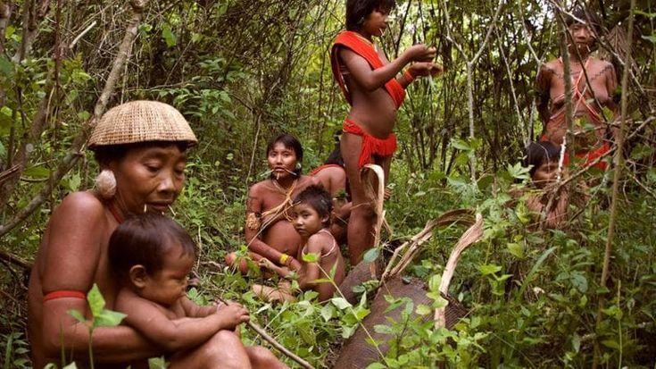 Il No dell'ONU alla creazione di una "Hong Kong indiana": a rischio due popoli incontattati