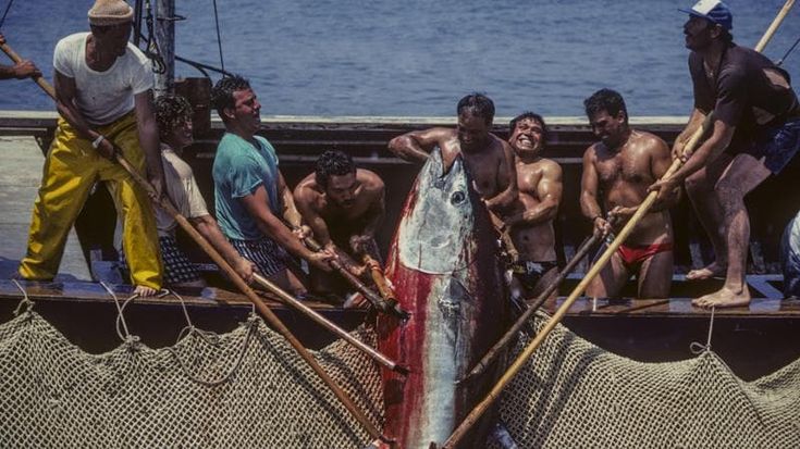 La crociata di Favignana per la pesca del tonno: “La nostra storia non si cancella”