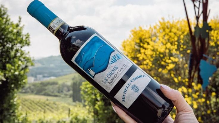 Il Piemonte entra nella Top 10 Wine Values con la Barbera d’Asti Le Orme 2023