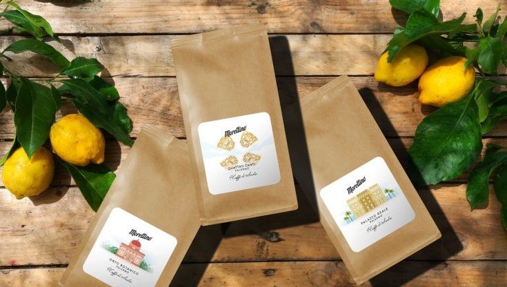 Zibibbo, carruba e pomelia: nasce il caffè coltivato e torrefatto in Sicilia da Morettino