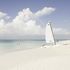 Turks e Caicos, l'eden di corallo oggi è più facile