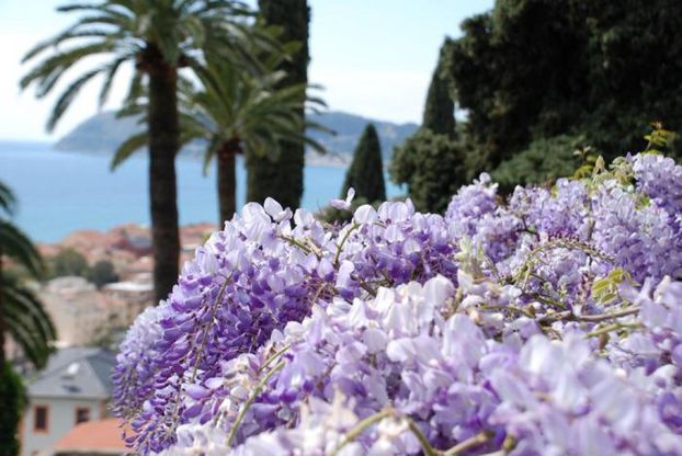 Giardino Italia: viaggio a colori nel Belpaese  