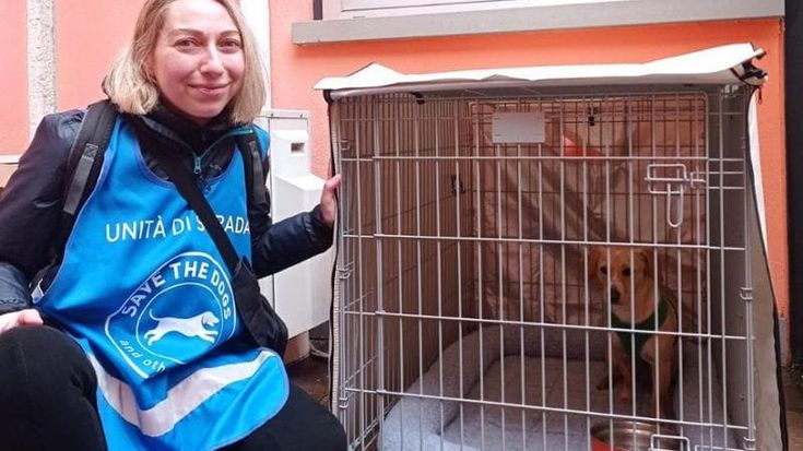 A Milano la cuccia solidale: qui i senzatetto possono lasciare il cane per accedere a docce e mense