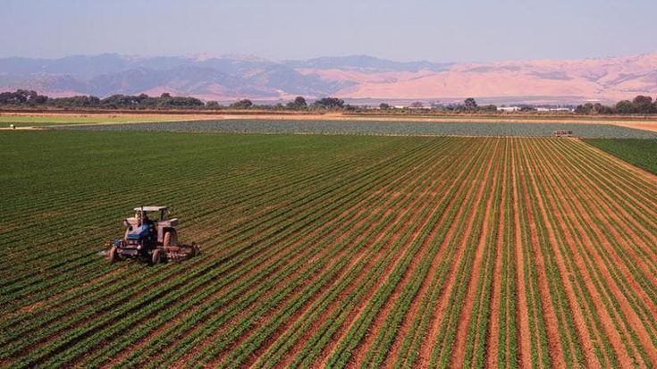 Il cibo entra nella sicurezza europea