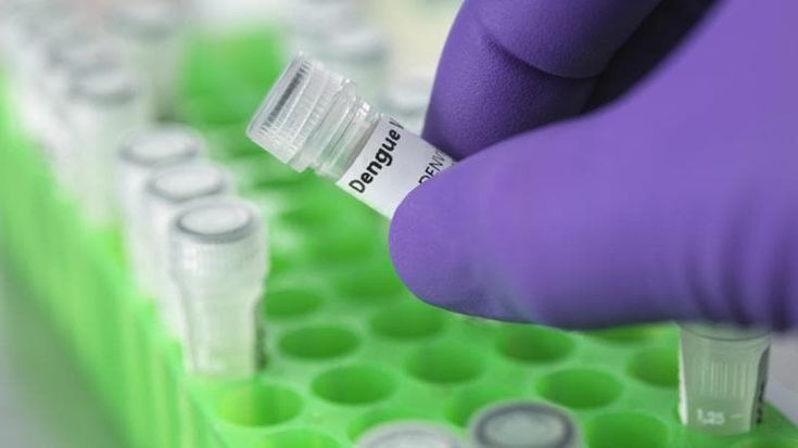 Cambiamento climatico, povertà e disuguaglianza così la dengue si è diffusa in Argentina: in cinque mesi 300 morti e 420mila contagi