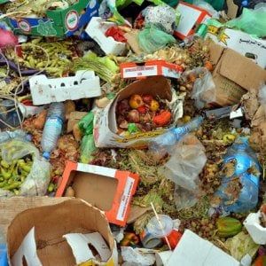 Alimentazione, 15,5 miliardi di cibo, dai campi alle dispense d’Italia