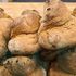 Non solo i raccolti: così i cambiamenti climatici possono alterare la qualità del grano