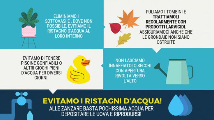 Stop alle zanzare, i consigli dei tecnici: prima di tutto attenzione alle acque stagnanti