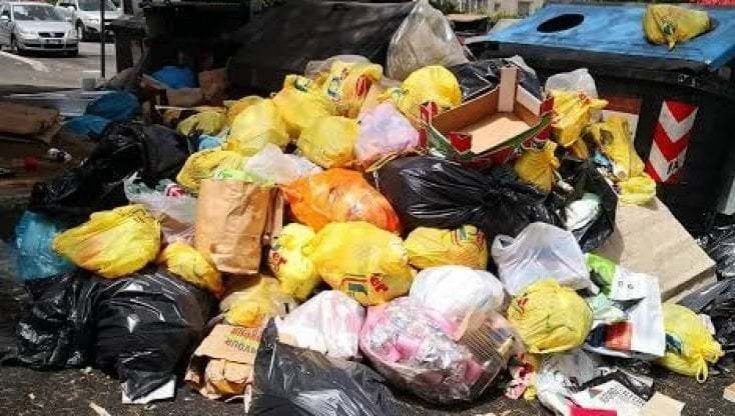 Rifiuti, c'è la fideiussione. Apre la discarica di Albano. Il sindaco: "Raggi vuole riattivare anche i siti di Colleferro e Guidonia"