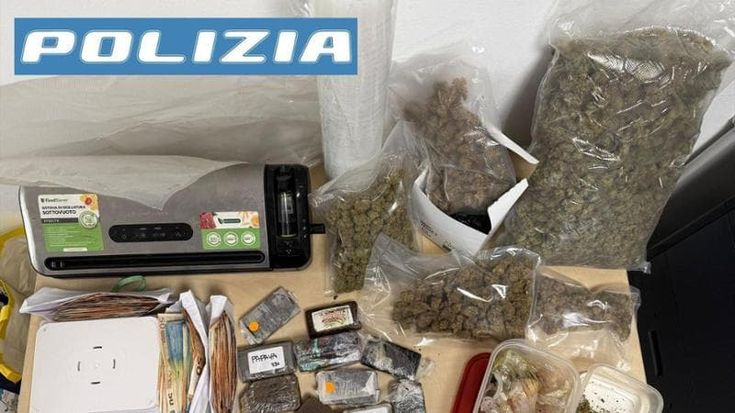 Droga nel cibo per i gatti: scoperto finto sito di prodotti per animali, copertura per lo spaccio
