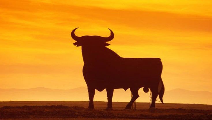 Segnalato toro in strada a Roma, monta l'ironia web: finita l'era del cinghiale "con il sindaco nuovo cambiamo animale di riferimento"