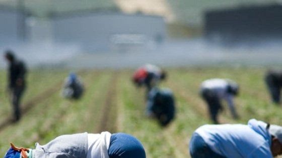 Il ddl contro il caporalato è legge: sei anni a chi sfrutta i lavoratori