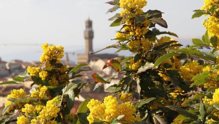Toscana, la festa delle donne e il problema lavoro: perché tanti licenziamenti?