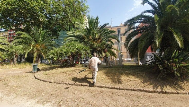 Napoli, al via il taglio delle aiuole in Villa comunale