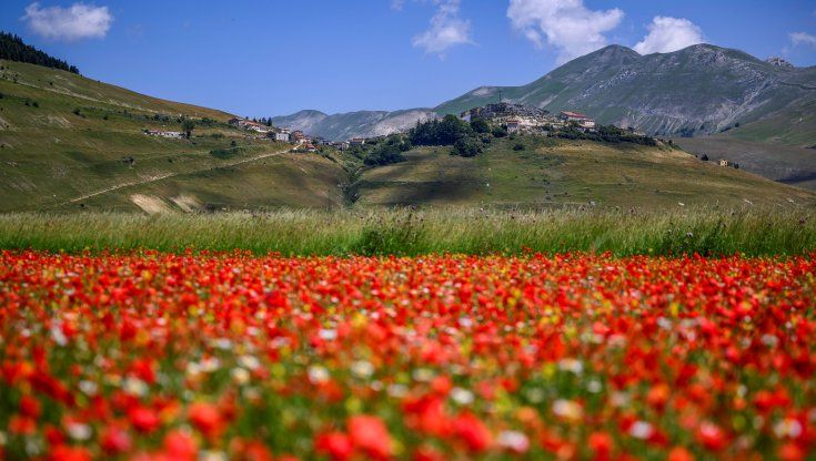 Tartufo, lenticchie e osterie, tutti i sapori dei parchi dell'Umbria