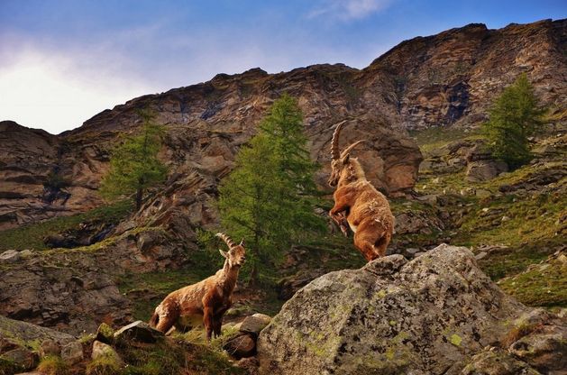 Obiettivo Terra, il concorso per la Giornata mondiale della Terra