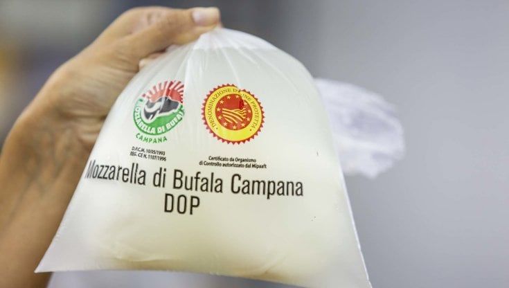 ”Le mozzarelle di bufala che non aderiscono alla Dop hanno qualcosa da nascondere”