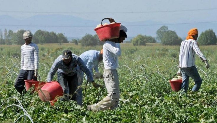 Lavoro nero in Sicilia, la Cgil lancia la campagna "Isola senza catene"