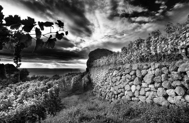 Ischia, il fotografo Enzo Rando vince il contest sui paesaggi rurali  