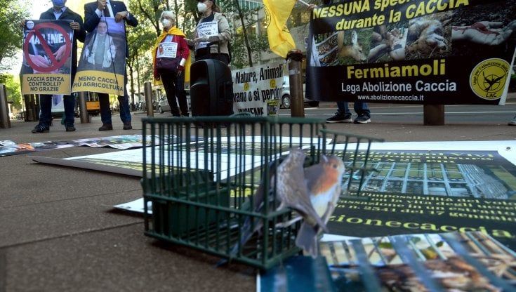 Sulla caccia in Lombardia vince ancora la lobby delle doppiette: proroga delle autorizzazioni e regole più soft