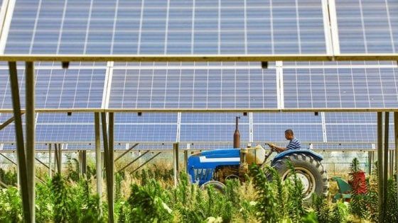 Le nuove frontiere dell'agro-fotovoltaico