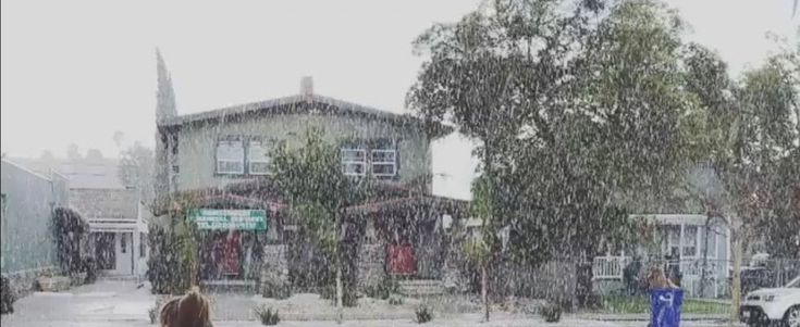 Los Angeles, fiocchi di neve sulla città. Ed è subito #snowmaggedon