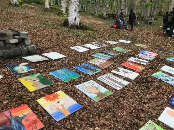 Potenza, la faggeta di Sasso di Castalda galleria d'arte a cielo aperto