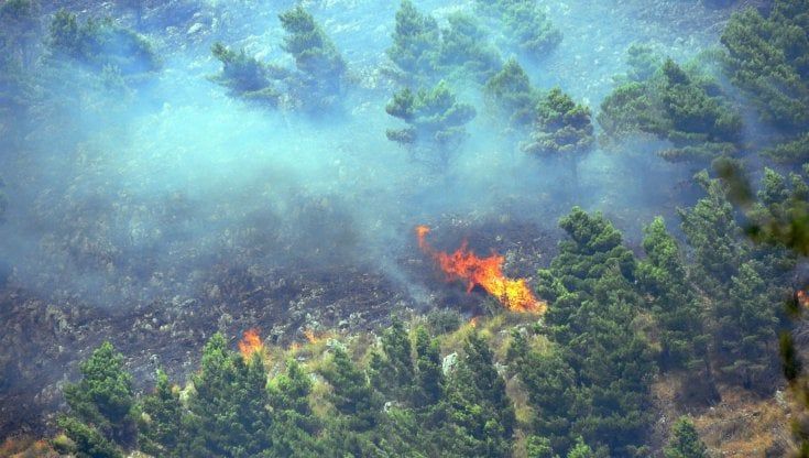 La Sicilia paga l'aumento ai forestali con i fondi per lo sviluppo