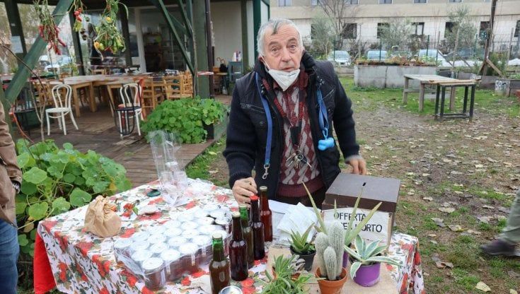 Coronavirus, gli orti che resistono: in via Padova è nato il Miele Milano