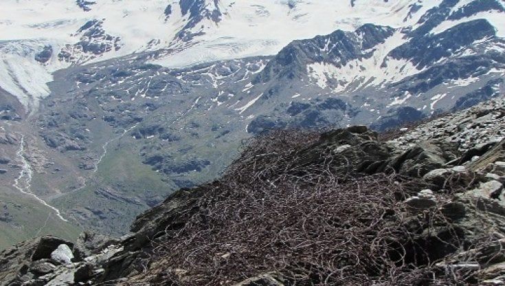 Valanga uccide due scialpinisti in Alto Adige