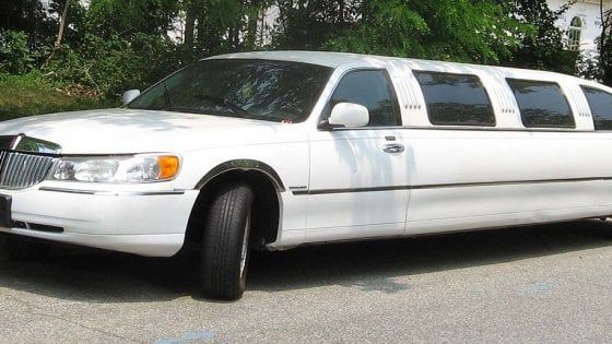 A scuola in Limousine, la replica delle docenti di Bari: "Stupore e incredulità, ma è colpa dei genitori" 